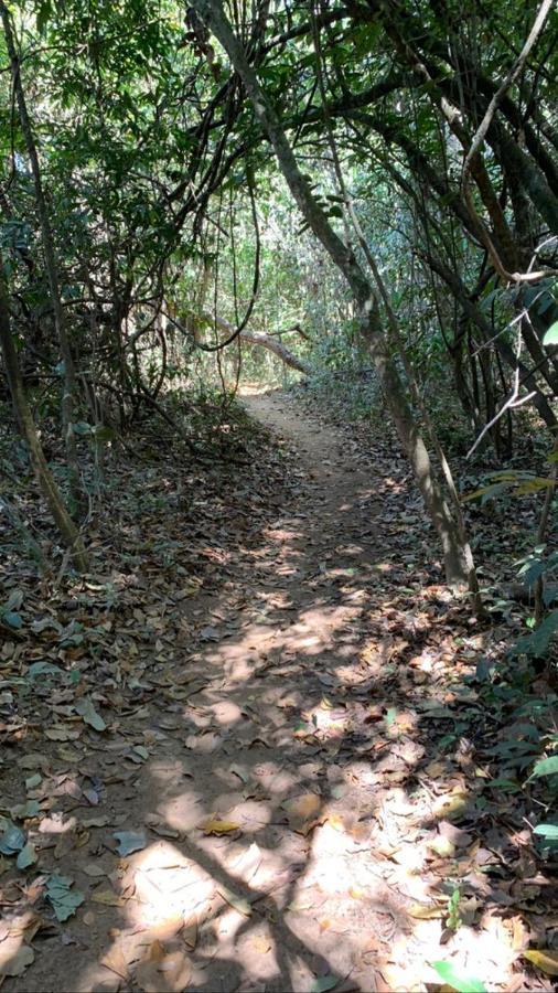 Fazenda Caminho Aguas