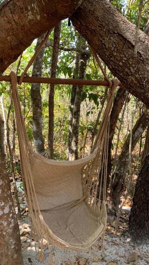 Farm stay Fazenda Caminho Aguas *